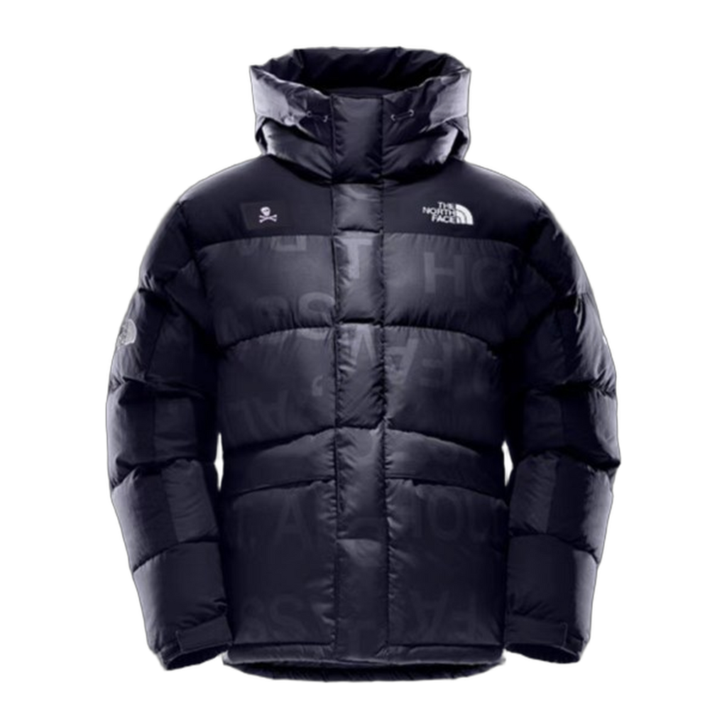 The North Face Urban Exploration UE Special Series Down Parka – 5J27