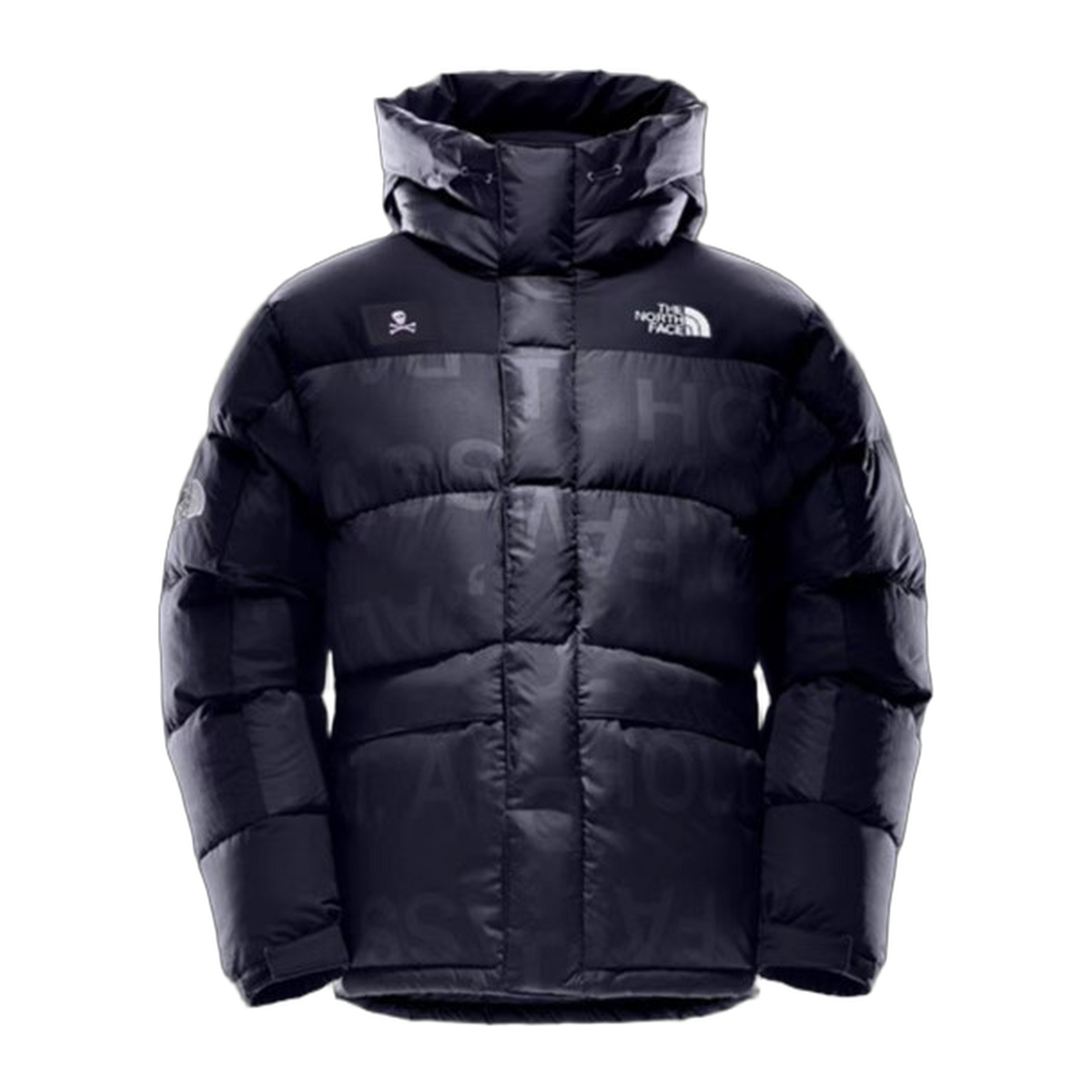 The North Face Urban Exploration UE Special Series Down Parka – 5J27