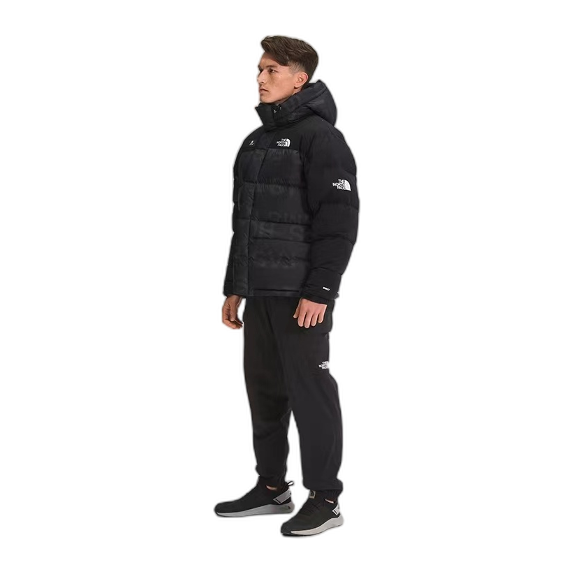 The North Face Urban Exploration UE Special Series Down Parka – 5J27